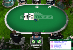 everest poker table